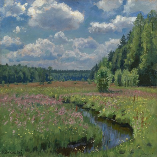 Летний луг