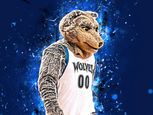 Minnesota Timberwolves