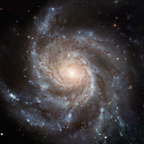 M 101