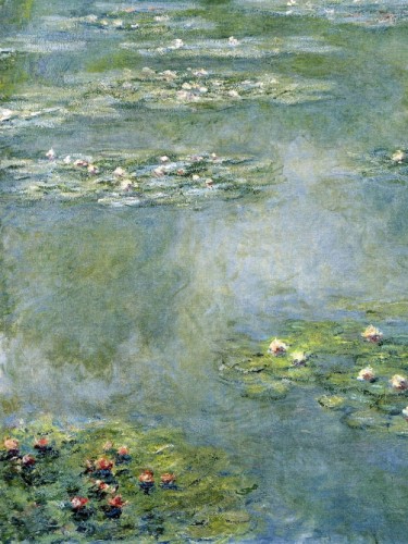 Водяные лилии, 1907