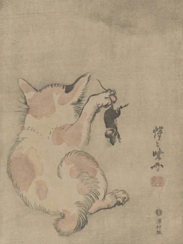 Cat with mouse