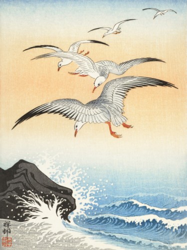 Five seagulls above turbulent sea