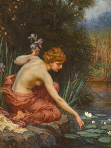 Draper nymphaea