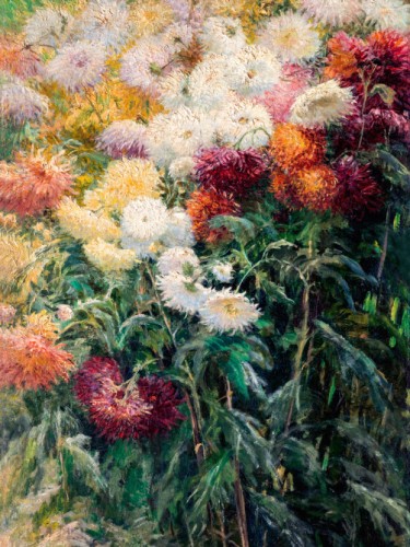 Chrysanthemums in the Garden