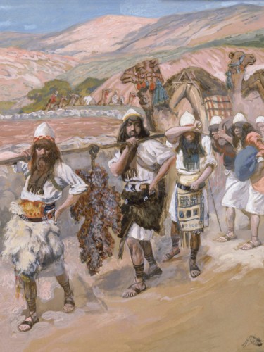 The Grapes of Canaan