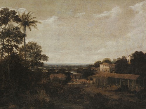 Brazilian Landscape
