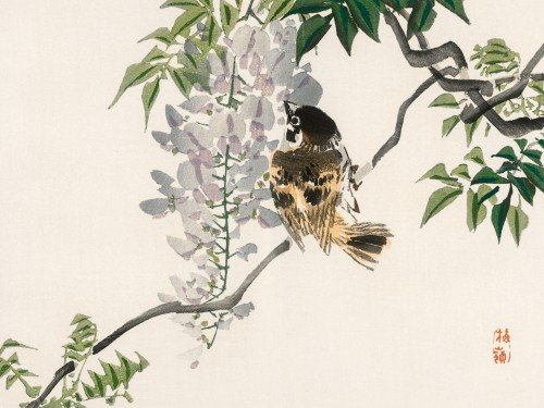 Sparrow on a branch