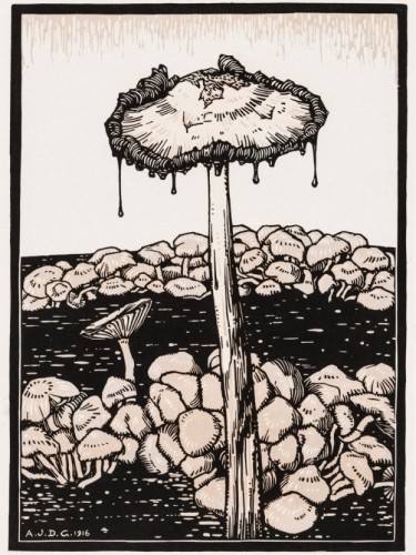 Dripping mushroom