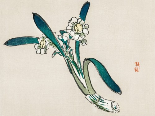 Bunchflower Daffodil
