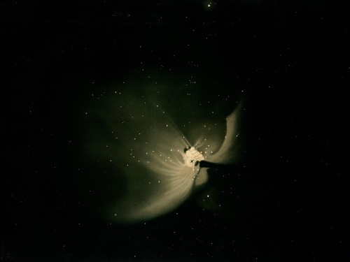 The great nebula in Orion