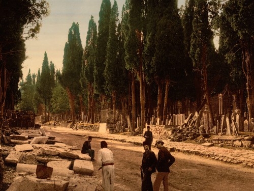 Cypresses and road leading to the cemetery, Scutari, Constantinople, Turkey