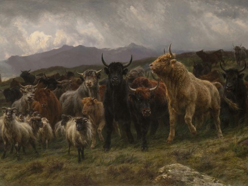 Highland Raid