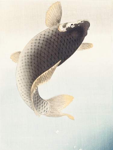 A jumping carp
