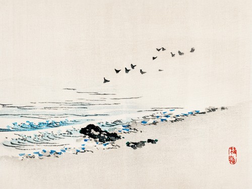 Beach scenery