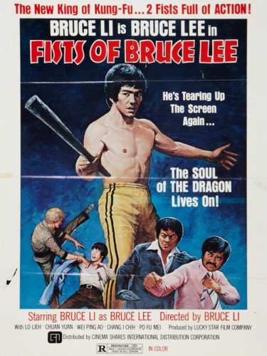 Fists of Bruce Lee