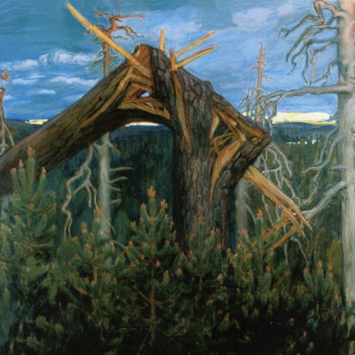 The Broken Pine, 1906