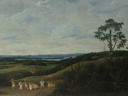 A Brazilian Landscape