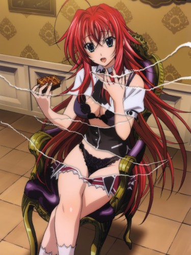 Старшая школа DxD