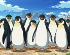 Тайная жизнь пингвинов