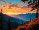 Firewatch