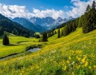 Пейзаж
