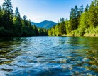 Вода