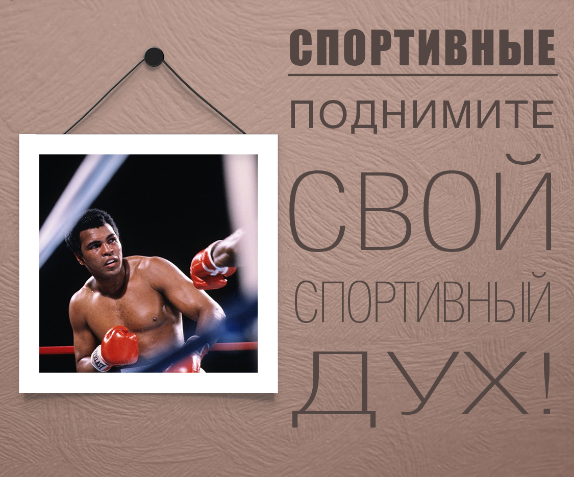 Категория 6